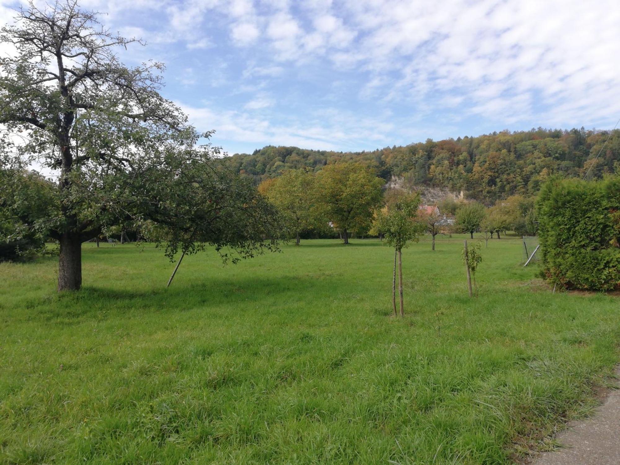 Ferienwohnung Am Bach Rheinfelden  Exterior foto